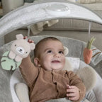 Ingenuity Baby Bouncer