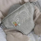 Ingenuity Baby Bouncer