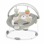Ingenuity Baby Bouncer