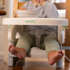 Ingenuity Deluxe Comfort Booster Seat